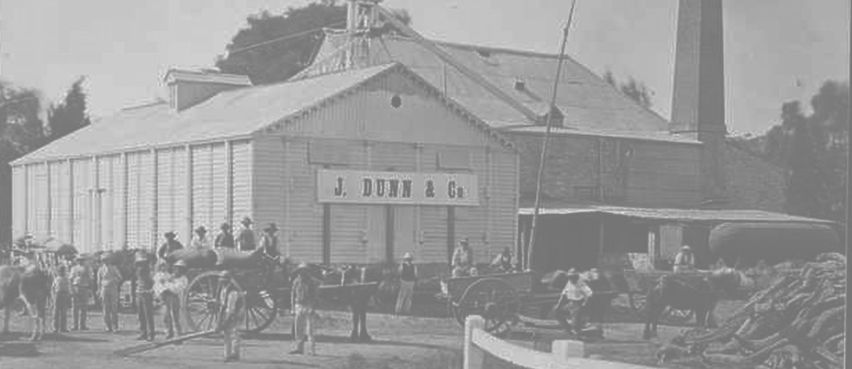 Image: men and horse drawn carts in front of flour mill with J Dunn and Co sign