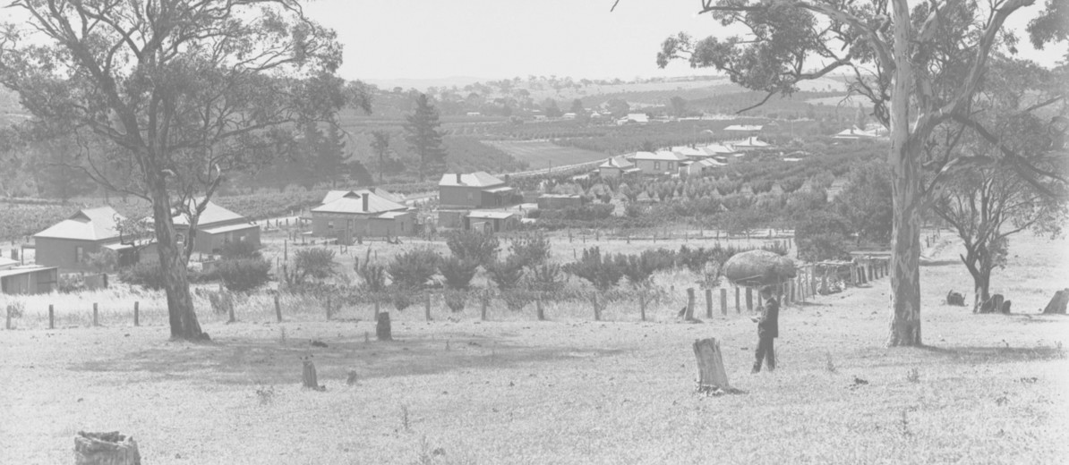 Image: A man stands in a paddock overlooking a row of houses arranged along a dirt road. Agricultural fields and scattered trees are visible in the distance