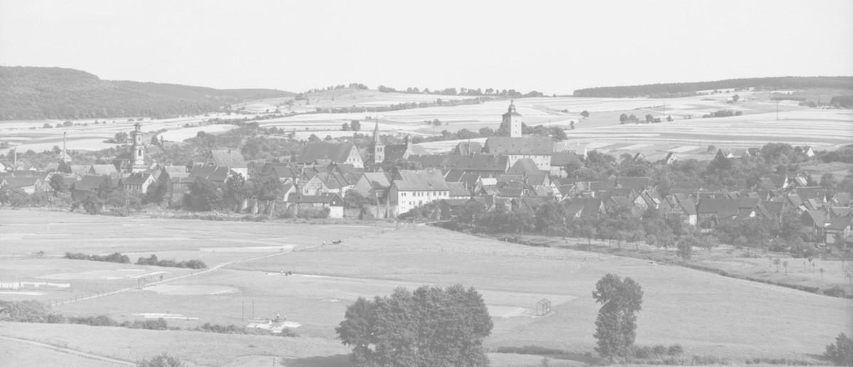 Image: A panoramic view of a German town. There are many houses. A number of large, open fields surround the town