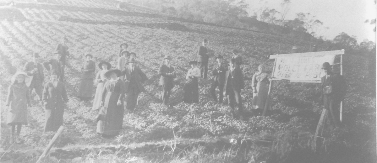 Image: group of people on a hillside