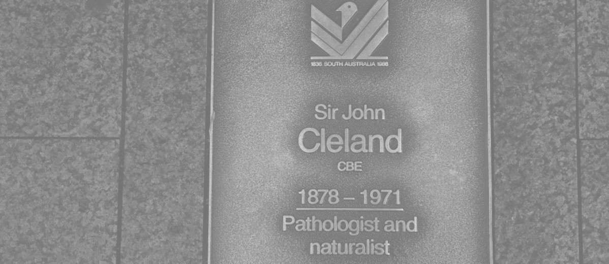 Image: Sir John Cleland Plaque 