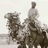 Image: One Afghan man rides his camel, while another Afghan stands next to his. The camel with rider is wearing a decorative harness