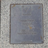 Image: George French Angas Plaque